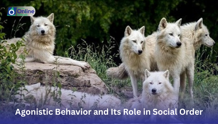 Lesson 20: Explanation of Agonistic Behavior and Its Role in Social Order